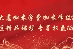 「吴大葱」吴大葱咖米学堂咖米峰级VIP社区精品课程 专享权益120集