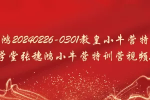 「张穗鸿」张穗鸿20240226-0301教皇小牛营特训营 财学堂张穗鸿小牛营特训营视频5集