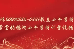 「张穗鸿」张穗鸿20240325-0331教皇小牛营特训营 财学堂张穗鸿小牛营特训营视频7集