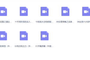 「李栋」云掌李栋2024新版牛股特训营之牛股波段系列课