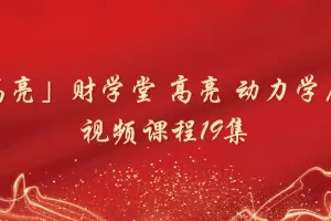 「高亮」财学堂 高亮 动力学原理 视频课程19集