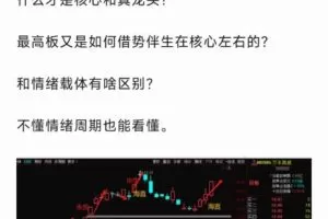 「龙头战法」20240420 情绪周期和板块周期的共振与借势PDF文档