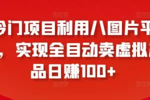 冷门项目利用八图片平台，实现全目动卖虚拟产品日赚100+