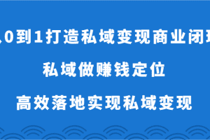 从0到1打造私域变现商业闭环-私域做赚钱定位，高效落地实现私域变现