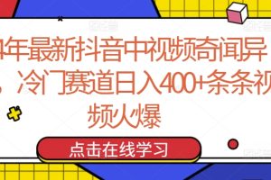 24年最新抖音中视频奇闻异事，冷门赛道日入400+条条视频火爆