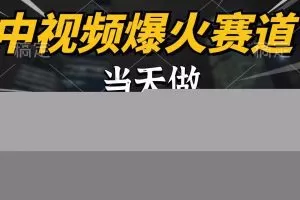 中视频计划爆火赛道，当天做，第二天见收益，轻松破百万播放，日入7000+