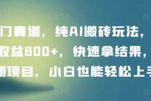 冷门赛道，纯AI搬砖玩法，单日收益800+，快速拿结果，长期项目，小白也能轻松上手
