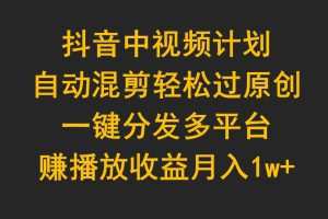 抖音中视频计划，自动混剪轻松过原创，一键分发多平台赚播放收益，月入1w+