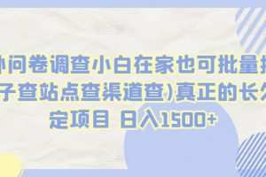 国外问卷调查小白在家也可批量操作(口子查站点查渠道查)真正的长久稳定项目 日入1500+