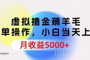 虚拟撸金薅羊毛，简单操作，小白当天上手，月收益5000+