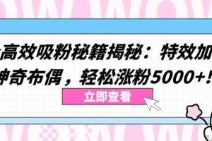 两个高效吸粉秘籍揭秘：特效加持与神奇布偶，轻松涨粉5000+