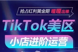 TikTok Shop美区小店进阶运营，快速掌握各流量渠道玩法，抢占红利黄金期，嘎嘎出单