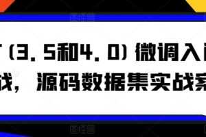 博士AI课GPT(3.5和4.0)微调入门和实战，源码数据集实战案例