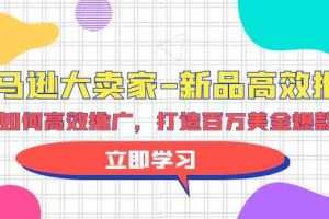 亚马逊大卖家新品高效推广，分享如何高效推广，打造百万美金爆款单品