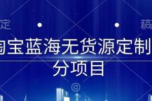 淘宝蓝海无货源定制细分项目，从0到起店实操全流程