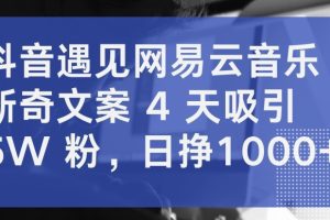 抖音遇见网易云音乐，新奇文案 4 天吸引 5W 粉，日挣1000+