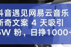 抖音遇见网易云音乐，新奇文案 4 天吸引 5W 粉，日挣1000+