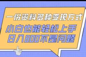 一份资料多种变现方式，小白也能轻松上手，日入800不是问题