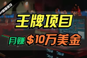 王牌项目月入10W美金，2024最新国外挂机撸U项目，全程无人值守，可批量放大！