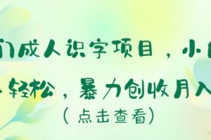 冷门成人识字项目，小白上手轻松，暴力创收月入5w+