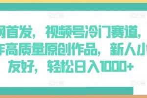 全网首发，视频号冷门赛道，AI制作高质量原创作品，新人小白友好，轻松日入1000+