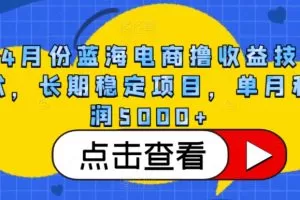 4月份蓝海电商撸收益技术，长期稳定项目，单月利润5000+