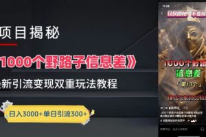 一千个野路子信息差最新玩法教程-变现+引流的玩法具体拆解
