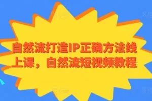 自然流打造IP正确方法线上课，自然流短视频教程