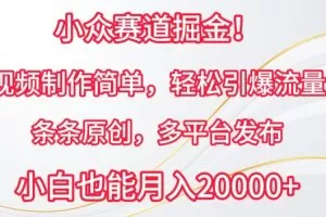 小众赛道掘金，视频制作简单，轻松引爆流量，条条原创，多平台发布