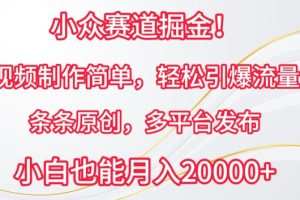 小众赛道掘金，视频制作简单，轻松引爆流量，条条原创，多平台发布