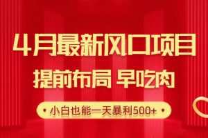 28.4月最新风口项目，提前布局早吃肉，小白也能一天暴利500+