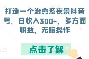 打造一个治愈系夜景抖音号，日收入300+，多方面收益，无脑操作