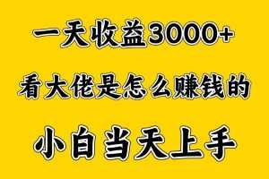 一天赚3000多，大佬是这样赚到钱的，小白当天上手，穷人翻身项目