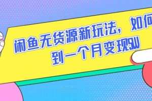 闲鱼无货源新玩法，如何做到一个月变现5W