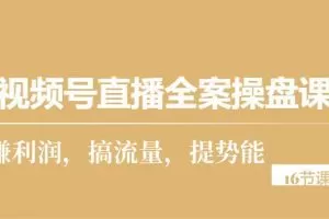 视频号直播全案操盘课，赚利润，搞流量，提势能（16节课）