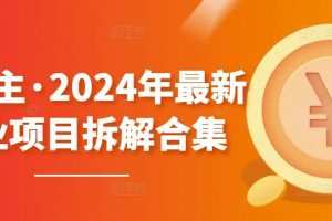 黄岛主·2024年最新副业项目拆解合集【无水印】