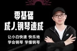 冬冬应用钢琴零基础成人钢琴速成让小白快速快乐学会钢琴学懂钢琴