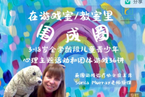 在游戏室 教室里围成圈——3-18岁全学龄段儿童青少年心理主题活动和团…