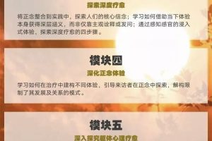 哈科米专业培训（初阶）八模块【录播课+直播课】