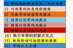 筹码打败操盘手（至尊版）PDF