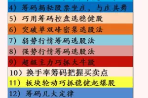 筹码打败操盘手（至尊版）PDF