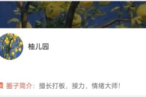 「大柚子笔记」2024年4月大柚子笔记大柚子盘面深度学柚儿园专属解读