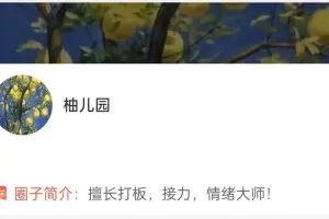 「大柚子笔记」2024年4月大柚子笔记大柚子盘面深度学柚儿园专属解读