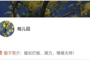 「大柚子笔记」2024年4月大柚子笔记大柚子盘面深度学柚儿园专属解读