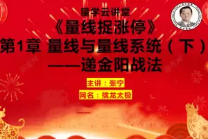 量学云讲堂 张宁基训第41期量线捉涨停视频课程