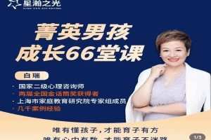 白大姐菁英男孩成长在线视频课66堂