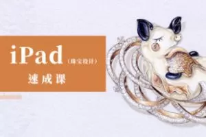 YC ipad珠宝设计手绘速成课2022年结课