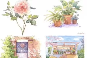 欧阳贝钢笔淡彩基础系统课2023年