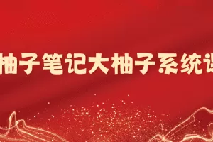 「大柚子笔记」大柚子笔记大柚子系统课程