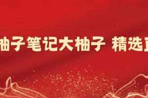 「大柚子笔记」大柚子笔记大柚子 精选直播